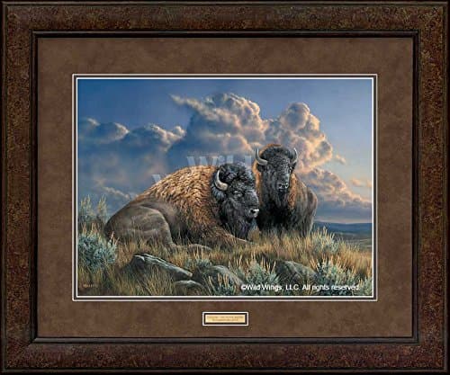 Wild Wings Distant Thunder - Bison GNA Premium+ Framed Print by Rosemary Millette
