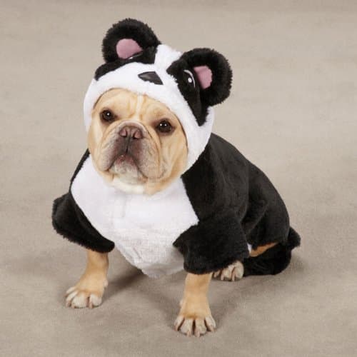 CC Panda Pup Costume Xsm Black
