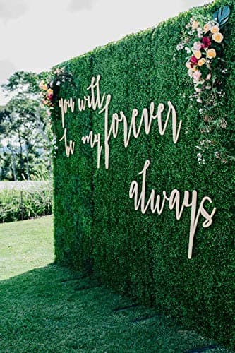8x8 Feet Artificial Boxwood Hedge Backdrop Wall, Greenery Decor Wall for Party Decor/Event Wall/Birthday/Wedding/Photo Studio Background Wall (8ftx8ft)