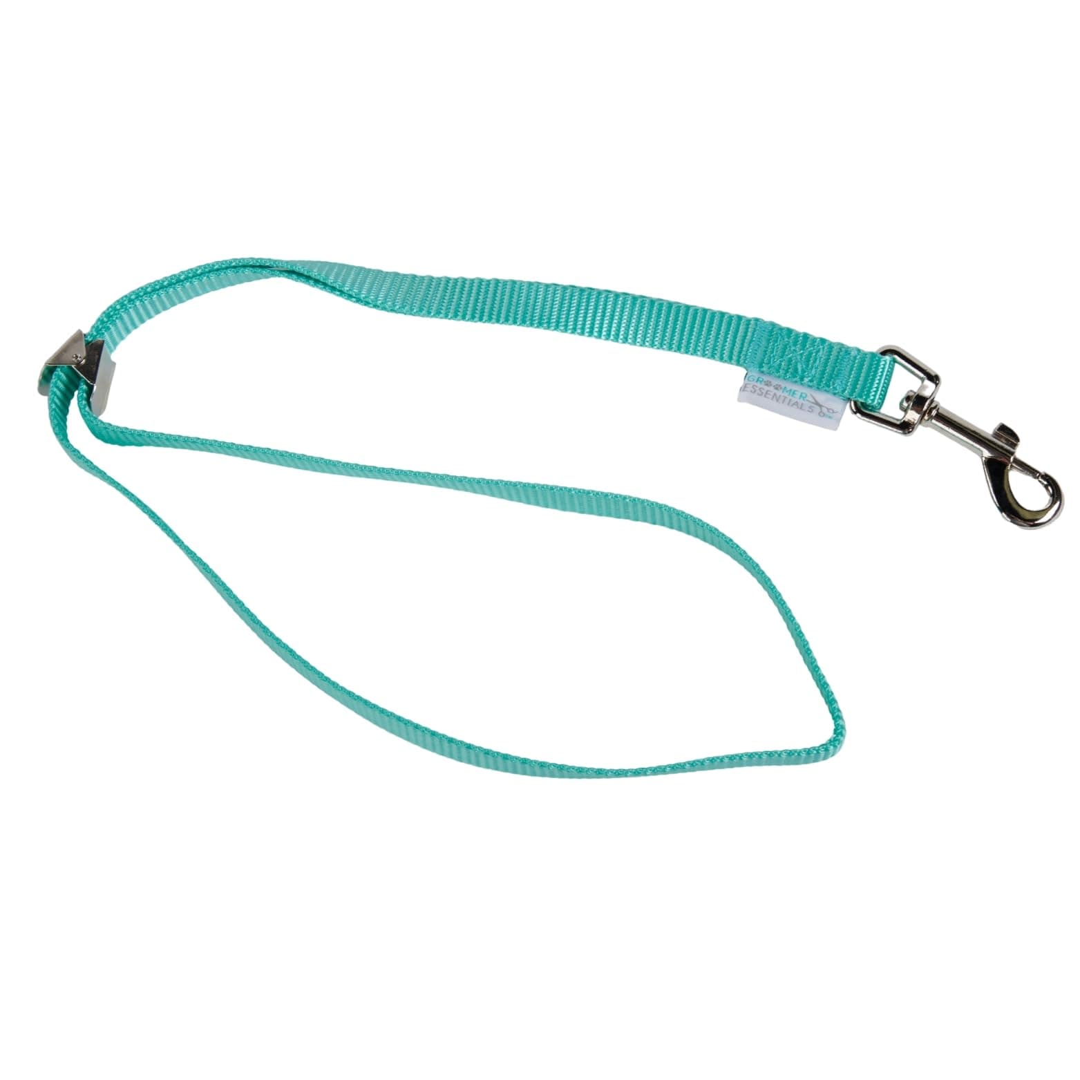 GROOMER ESSENTIALS22" Grooming Loops - Turquoise