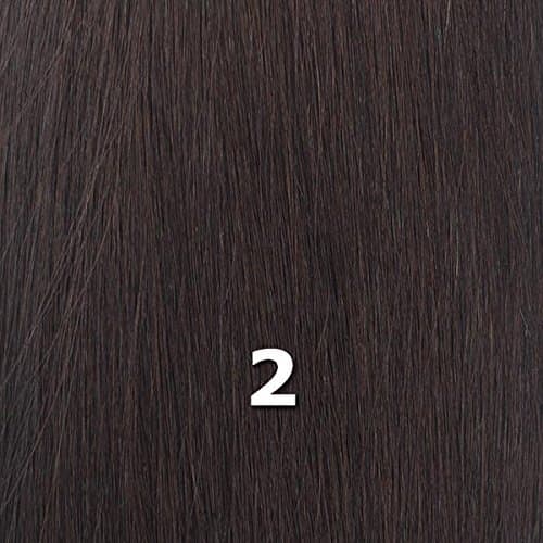 ISIS BROWN SUGAR Human Blended Lace Front Wig - BS202 (#2 - Dark Brown) by ISIS HAIR