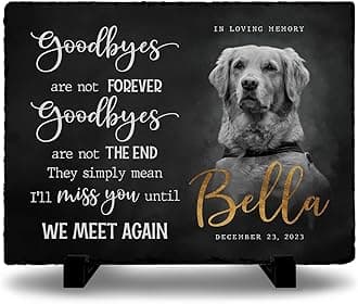 Custom Rectangular Memorial Stone - 'Goodbyes are Not Forever' - Dog House Outdoor Garden Decor, Photo Design - Meaningful Gifts for Cat Lovers Mourning a Pet