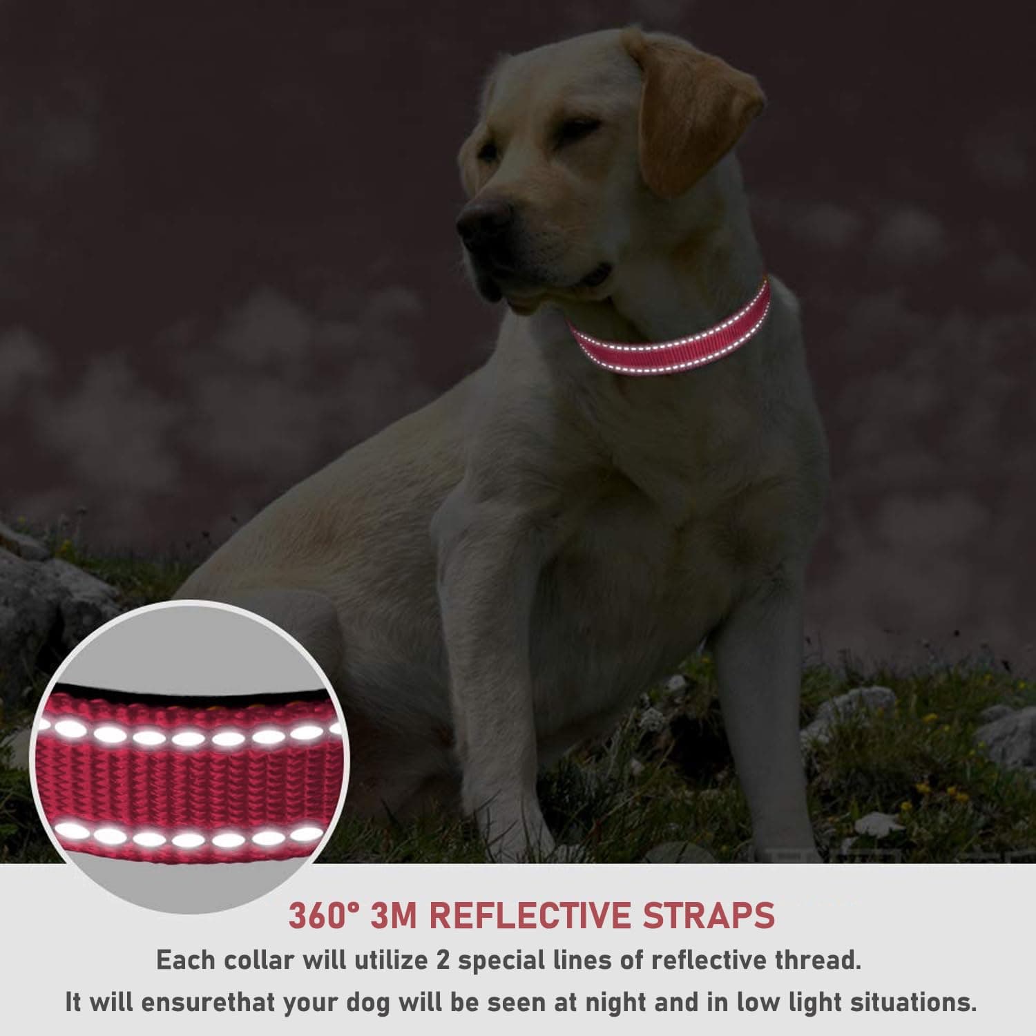Reflective Dog Collar with Buckle Adjustable Safety Nylon Collars for Small Medium Large Dogs, Light Pink XS