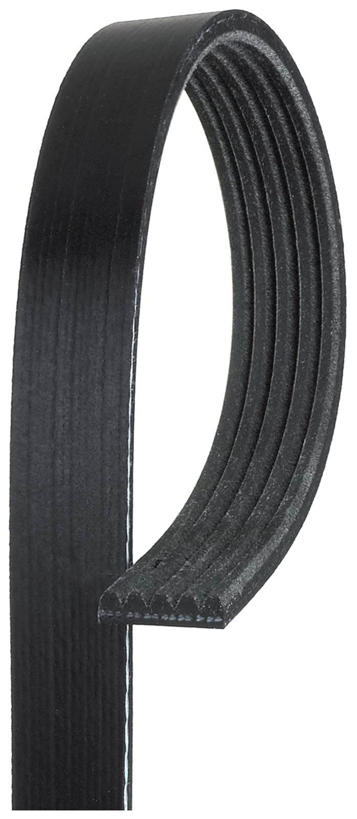 Roadmax 5K345AP Serpentine Belt
