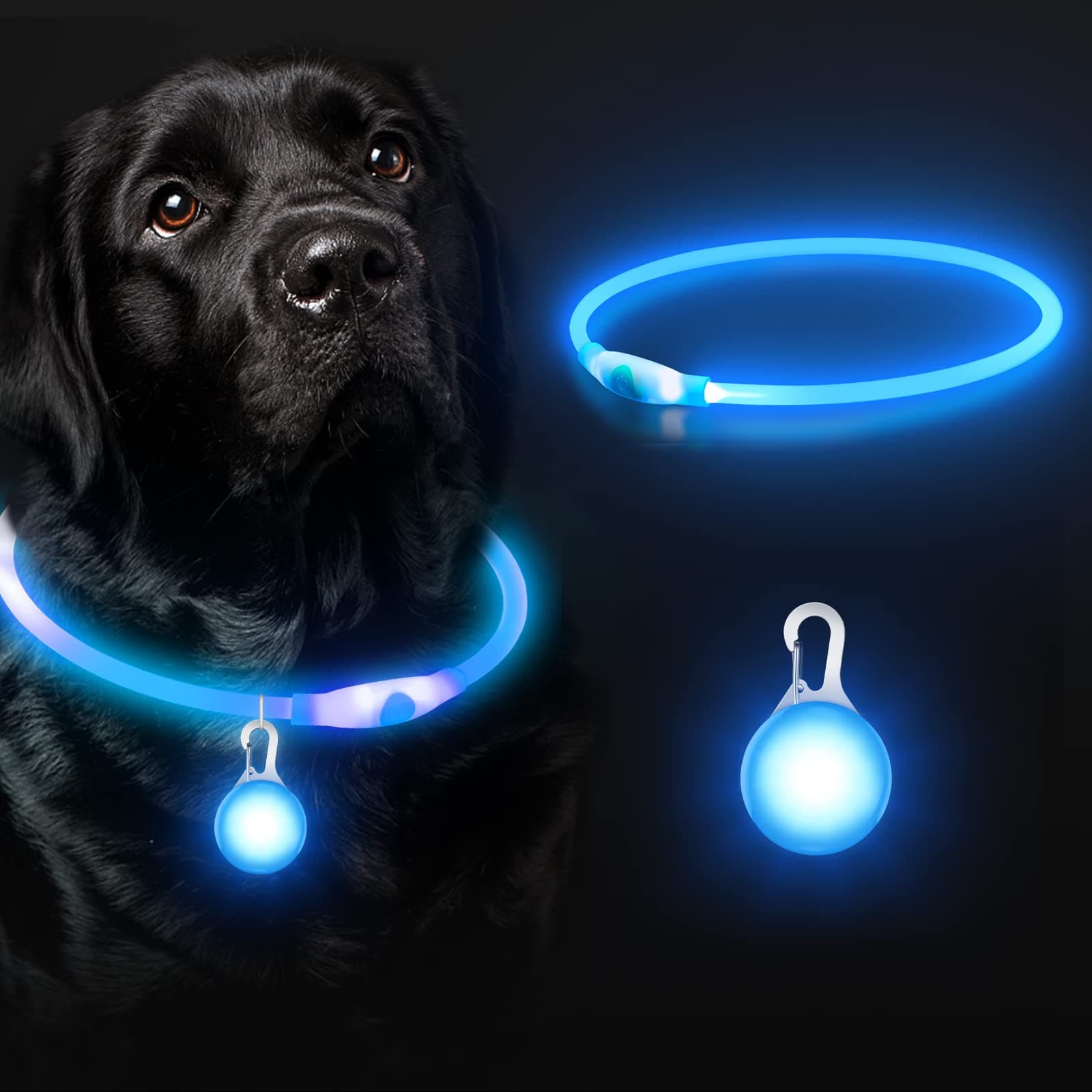 SerDa-Run 2 in 1 Light Up Dog Collar + Tag, Tag with USB Rechargeable, Led Adjustable Flashing Puppy Collars Three Modes for Small Medium large Dogs Cats, Pink