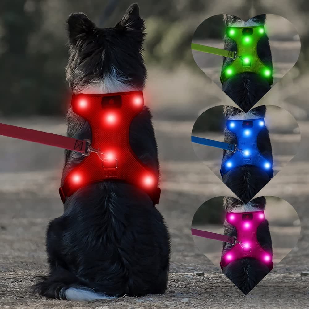 Light Up Dog Harness - Rechargeable LED Dog Vest, No-Pull Glowing Safety Pet Harness Lights for Night Walking & Camping (Red, Large)