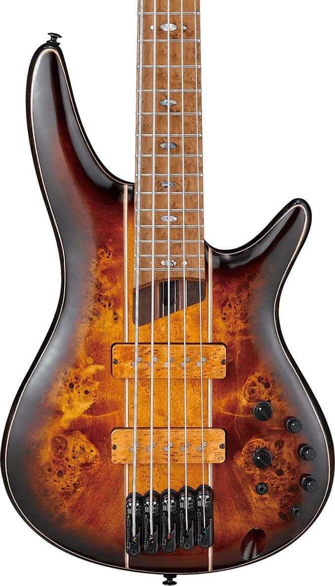 Ibanez SR5PBLTD Premium Dragon Burst Low Gloss