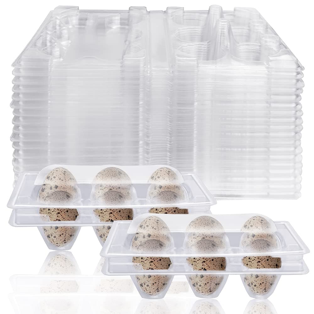 FIGFYOU Pack of 50 Quail Egg Boxes, Egg Boxes, Quail, 6 Grids, Plastic Quail Egg Boxes, Transparent Quail Egg Boxes, Egg Box with Lid for Quail Eggs, Pheasant