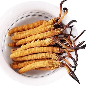 3 Grams 100% Wild Himalayan Cordyceps Sinensis Chinese Caterpillar Fungus Dong Chong Xia Cao Cordyceps Sinensis Wild Cordyceps.