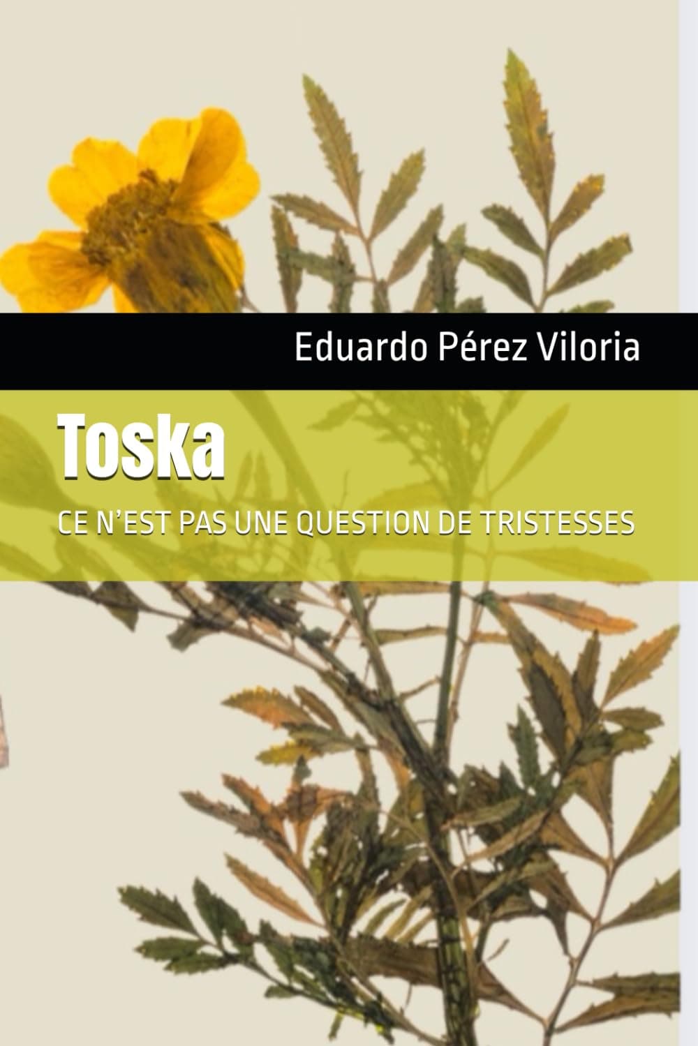 Toska: CE N’EST PAS UNE QUESTION DE TRISTESSES