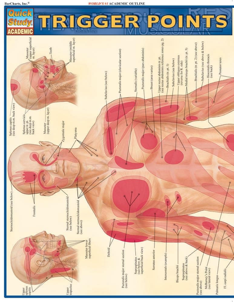 Trigger Points Quick Reference Guide