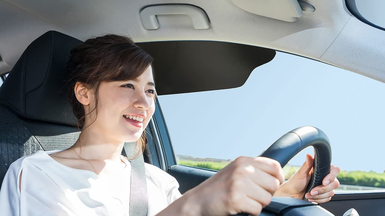 Blackout Sun Visor Sunshade Extender for Car Window Windshield Sun Shade Anti-Glare Car Sun Visor Protects from Sun Glare, Snow Blindness, UV Rays, Universal for Cars, SUVs 1 Pack