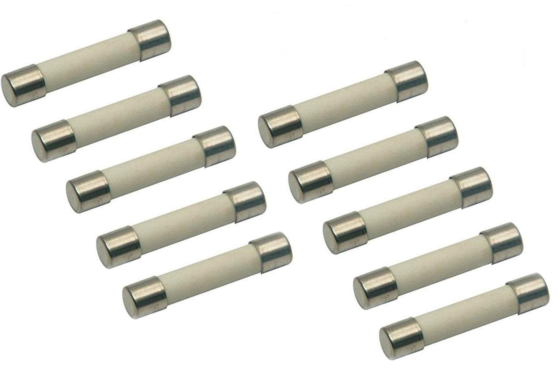 (10 Pack) Microwave Replacement Fuse, 20A, 250V, Ceramic Line Fuse, Fast Blow Microwave Fuse