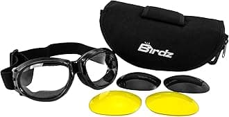 Birdz Eagle Interchangeable Kit Motorcycle Biker Goggles Comes with 3 Lenses and a Case