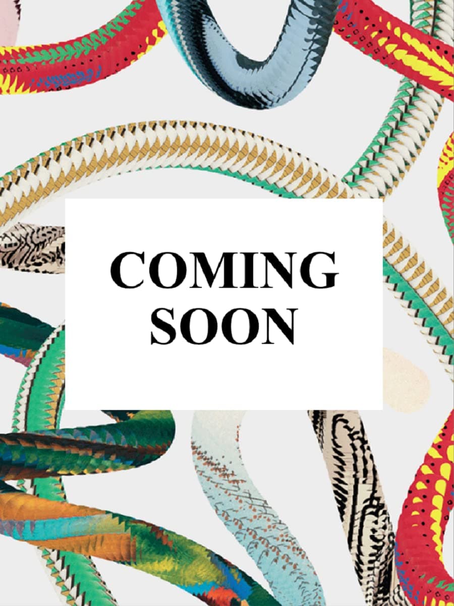 Web Design. the Evolution of the Digital World 1990-Today