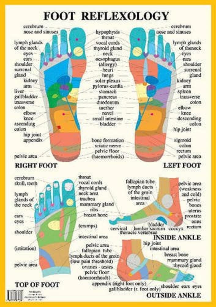 Foot Reflexology -- A2 Poster