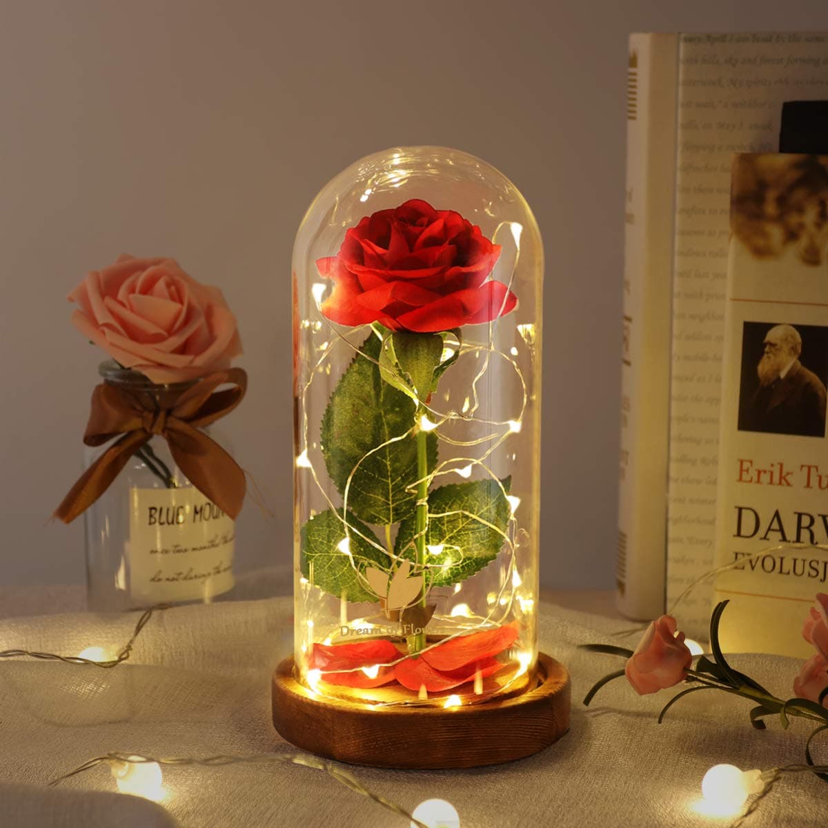 Dream of Flowers Beauty and The Beast Rose, Valentines Day Gifts for her, Birthday Gift for Women, Light Up Rose in Glass Dome, Eternal Rose Flower Gifts for Mom, Roses Gifts Girlfriends for Wife