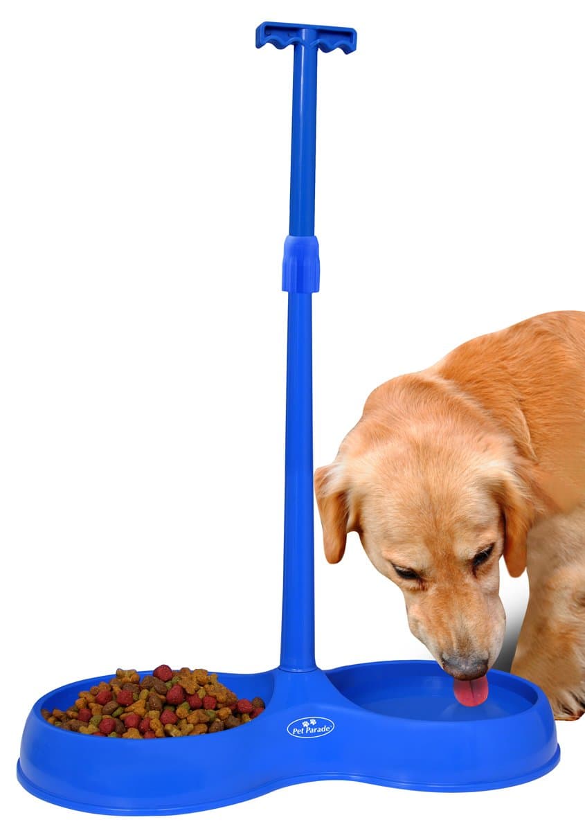 Carol Wright Gifts No Bend Pet Bowl