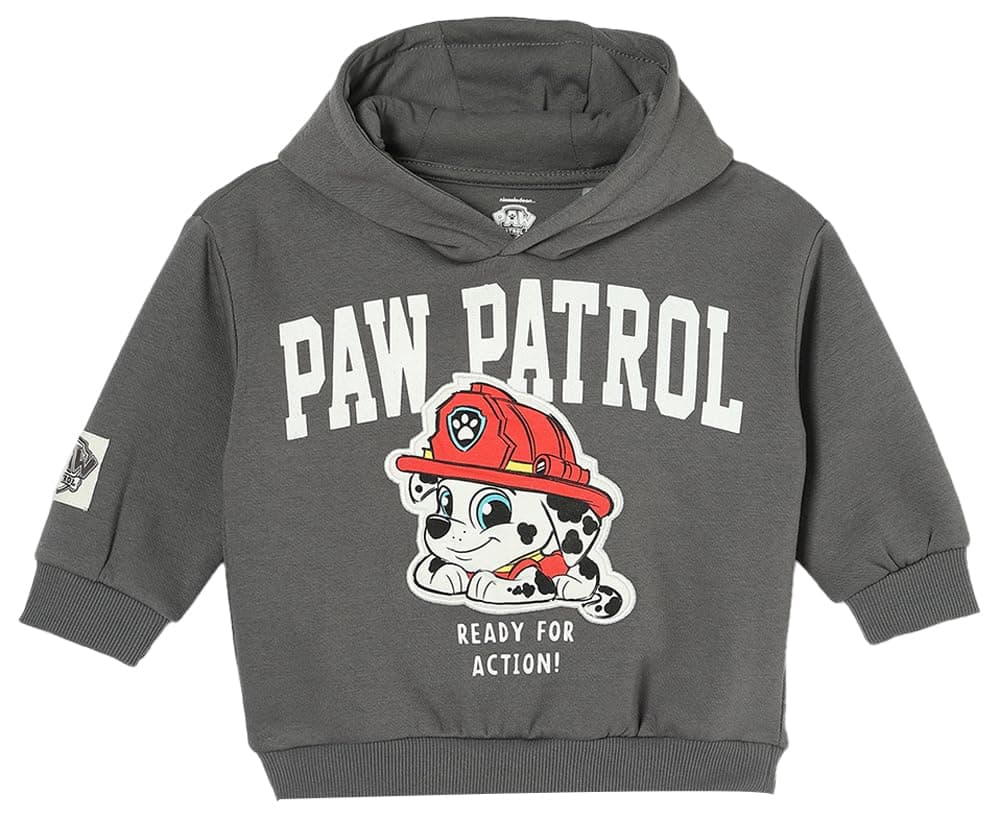 Boys Paw Patrol Printed Sweatshirt