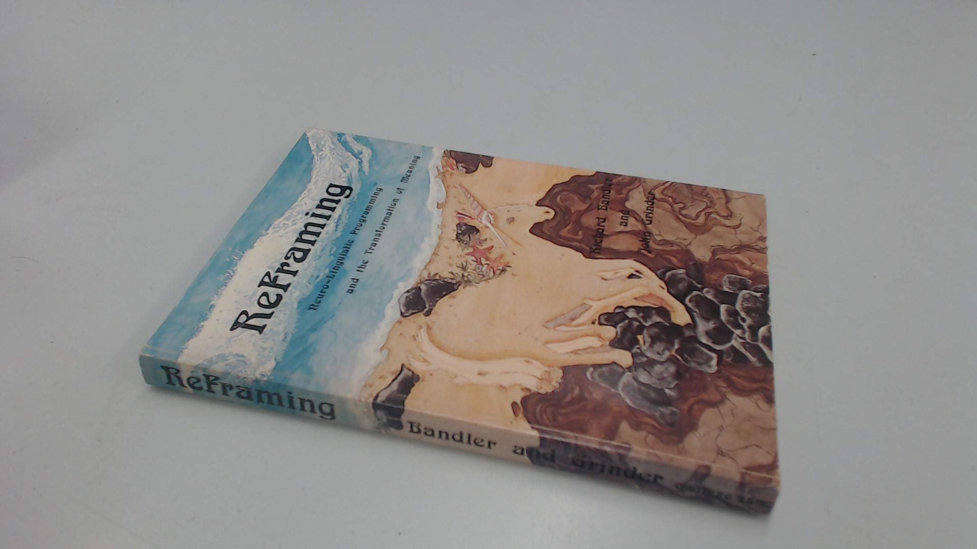 Reframing: Neuro-Linguistic Programming and the Transformation of Meaning