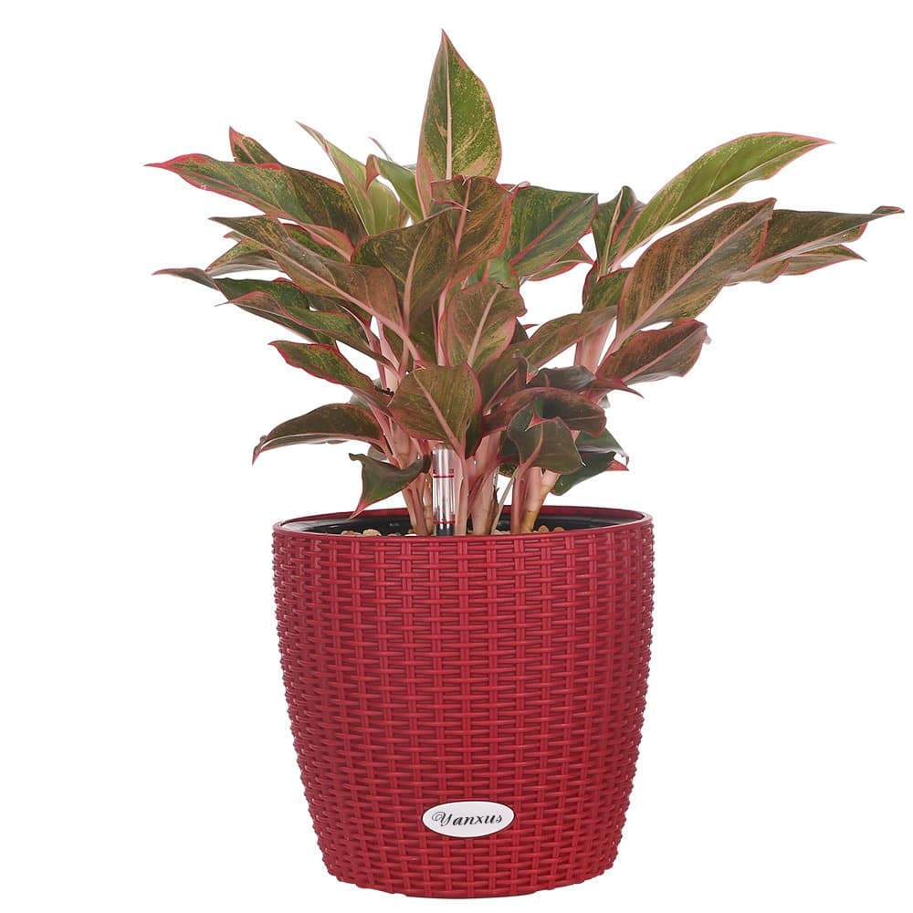 YANXUS Self-Watering Planter Pot Planters Basket - Modern Decorative Planter Pot for Outdoor or Indoor Garden (Red)