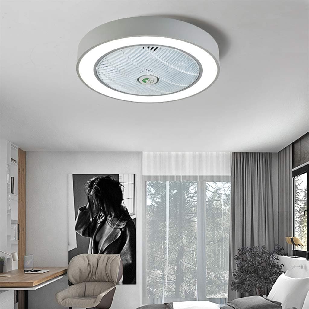 SLZ Fan Light Ceiling Fan Ceiling Light Creative Ceiling Light LED Dimming Ceiling Fan with Lighting And Remote Control Silent Chandelier [Energy Level A],Gray [Energy Class A++]