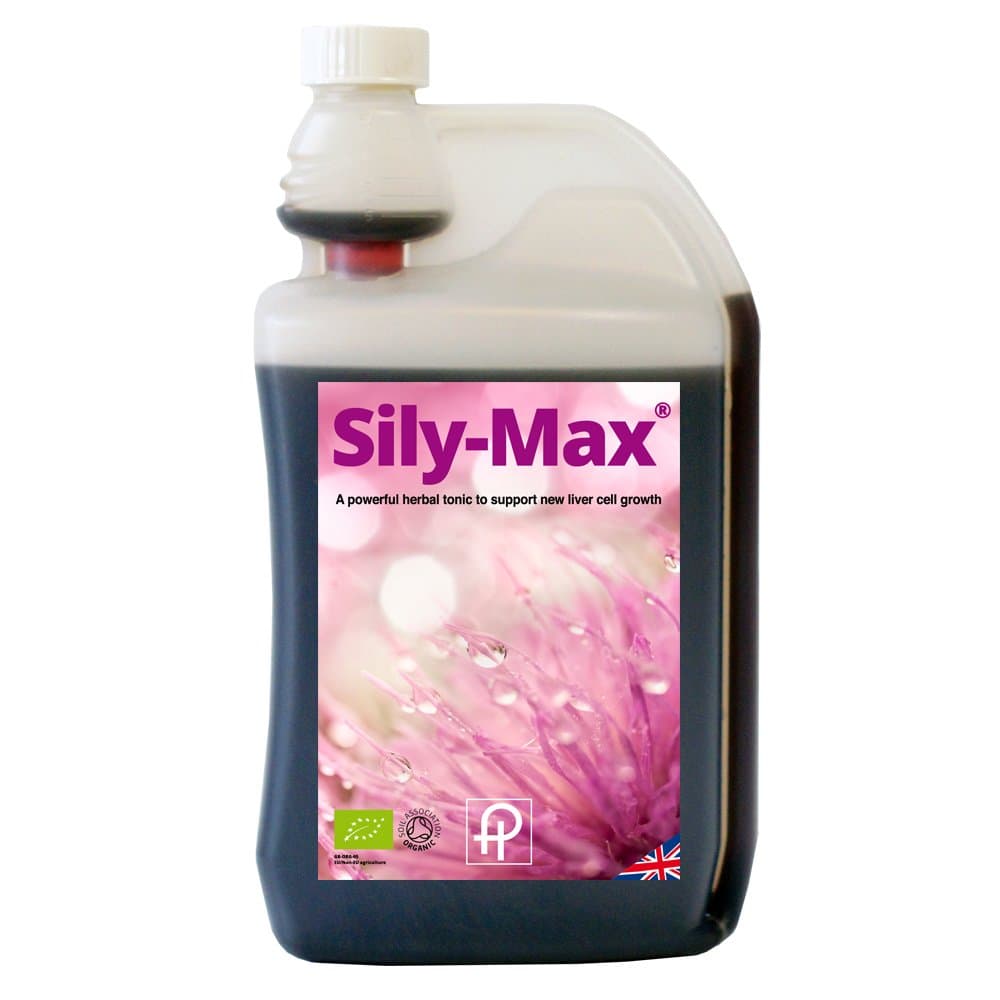 Pegasus Health Sily-Max, 1 Litre