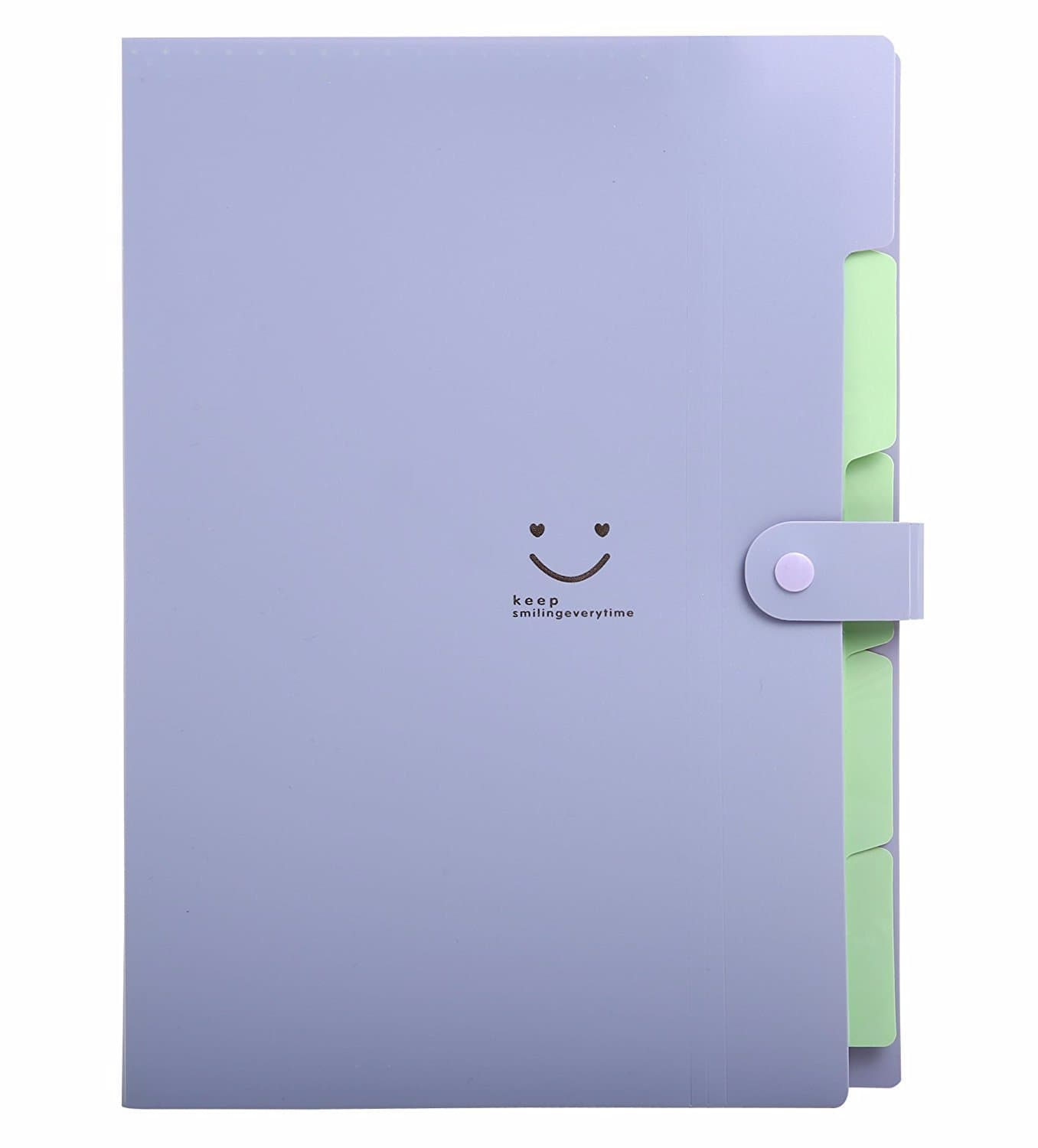 Lateral File Folders Expandable Plastic Portable Classification Accordian Folder Organizer