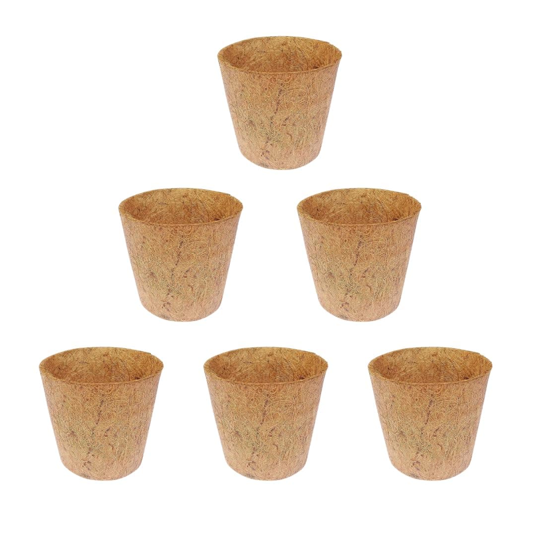 M-Tech Gardens Coco Coir Pot Eco-Friendly and Bio-Degradable Planter Pot (6 inch Size - Set of 6)
