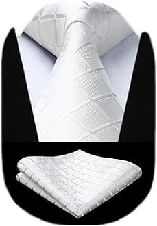 HISDERN Men's Tie and Pocket Square Set Solid Check Necktie with Handkerchief Formal Classic Elegant Ties for Men Wedding Business Ceremony Banquet