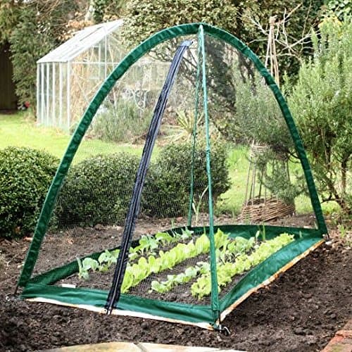 Popadome All-in-One Fruit and Vegetable Net Protection System (6ft x 3ft)
