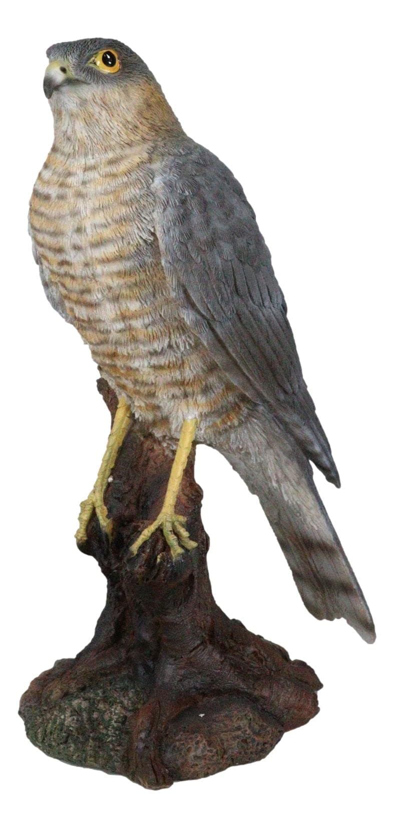 Ebros Gift Realistic Hand Painted Eurasian Sparrowhawk Perching On Tree Stump Figurine 8.5" Tall Small Bird of Prey Taxidermy Sparrow Hawk Home Accent Sculpture