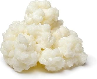 10g of Superior Strain Certified Organic Milk Kefir Grains by RawCultures® Certified Organic