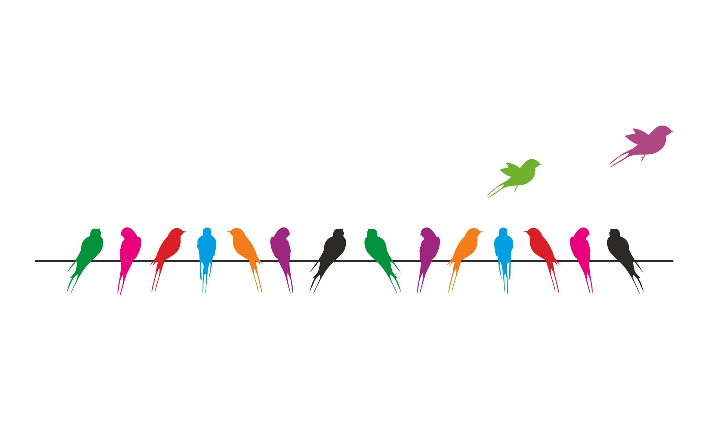Decals Design 'Colourful Birds with Long Tail on Wire' Wall Sticker (PVC Vinyl, 70 cm x 25 cm, Multicolour)