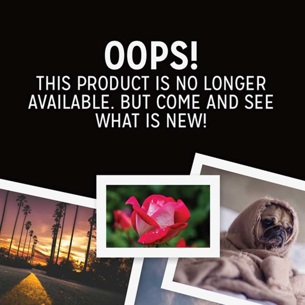 Picasso Wall Calendar by Alla Luna