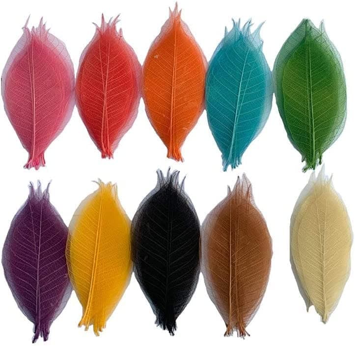 100 Pcs 4-5 Inch Natural Skeleton Leaves Rubber Tree Scrapbook Craft Card DIY Craft Using for Crafts, Bouquets, Scrapbooks, Decorations, Greeting Cards, Wedding Gifts (10 Colors)