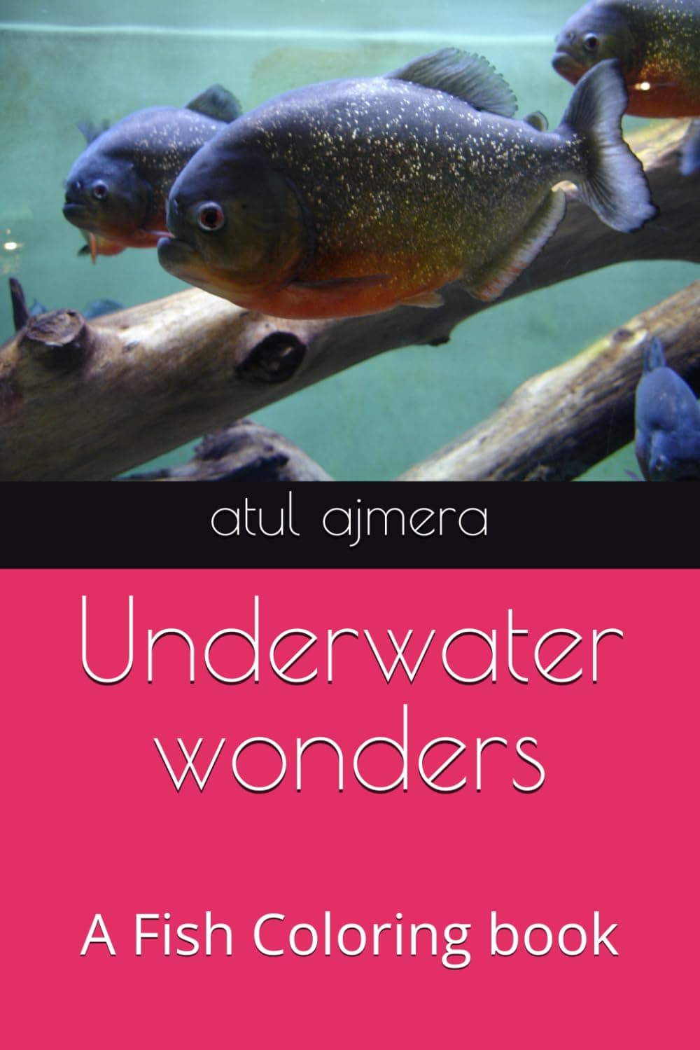 Underwater wonders: A Fish Coloring book