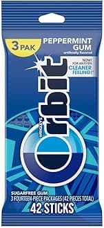 Peppermint Sugar Free Chewing Gum Travel Essentials, 3 Ct Pack