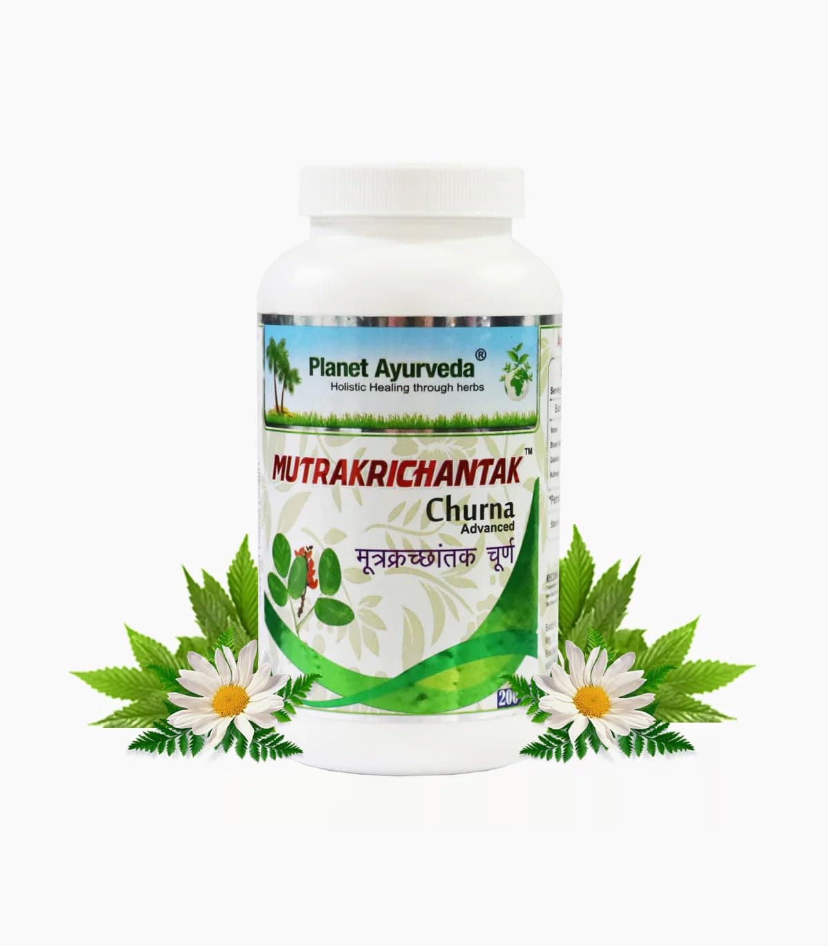 Mutrakrichantak Churna- Pack of Two