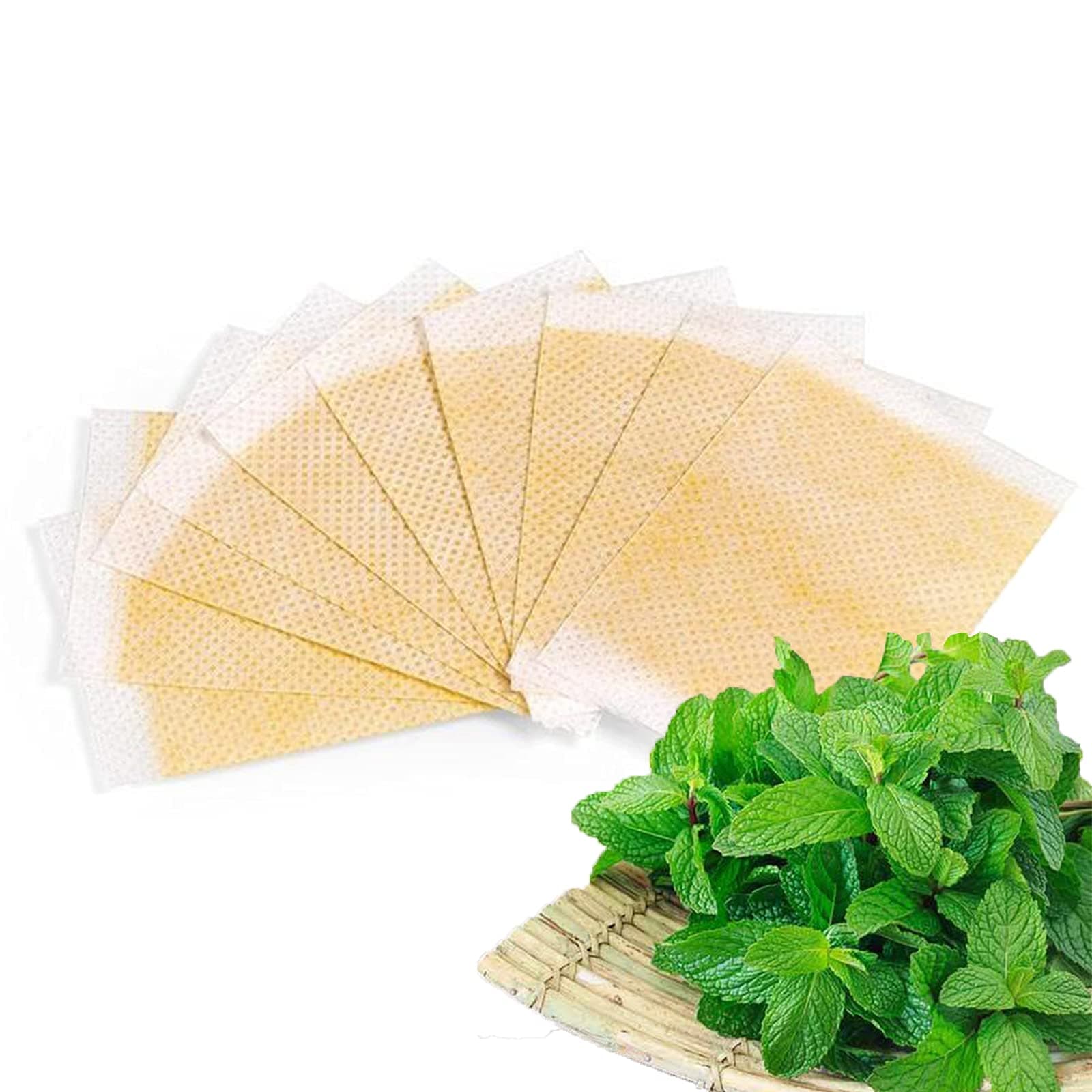 Regen Patch,Hibana Patch Healthier Motion Slim Patch,Ginger Patch,Promote Blood Circulation (90pcs)