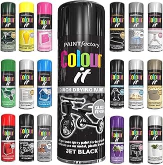 1 x All Purpose Black Gloss Aerosol Spray Paint 250ml Quick Drying Spray,Fast Dry and Excellent Coverage for Wood, Metal, Plastic and more