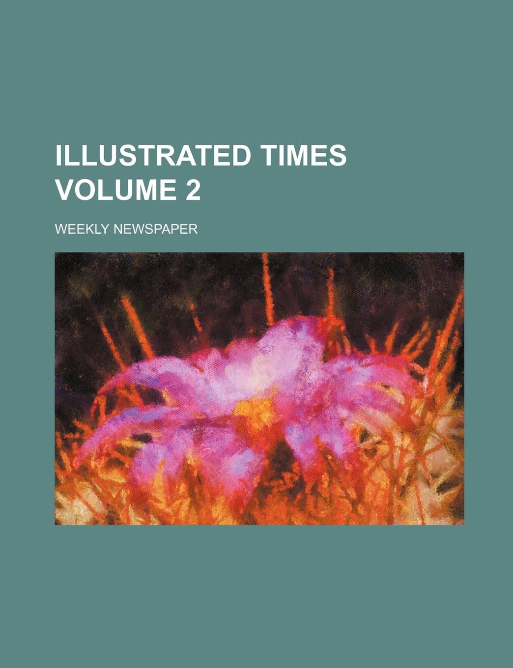 Illustrated Times Volume 2; Weekly Newspaper