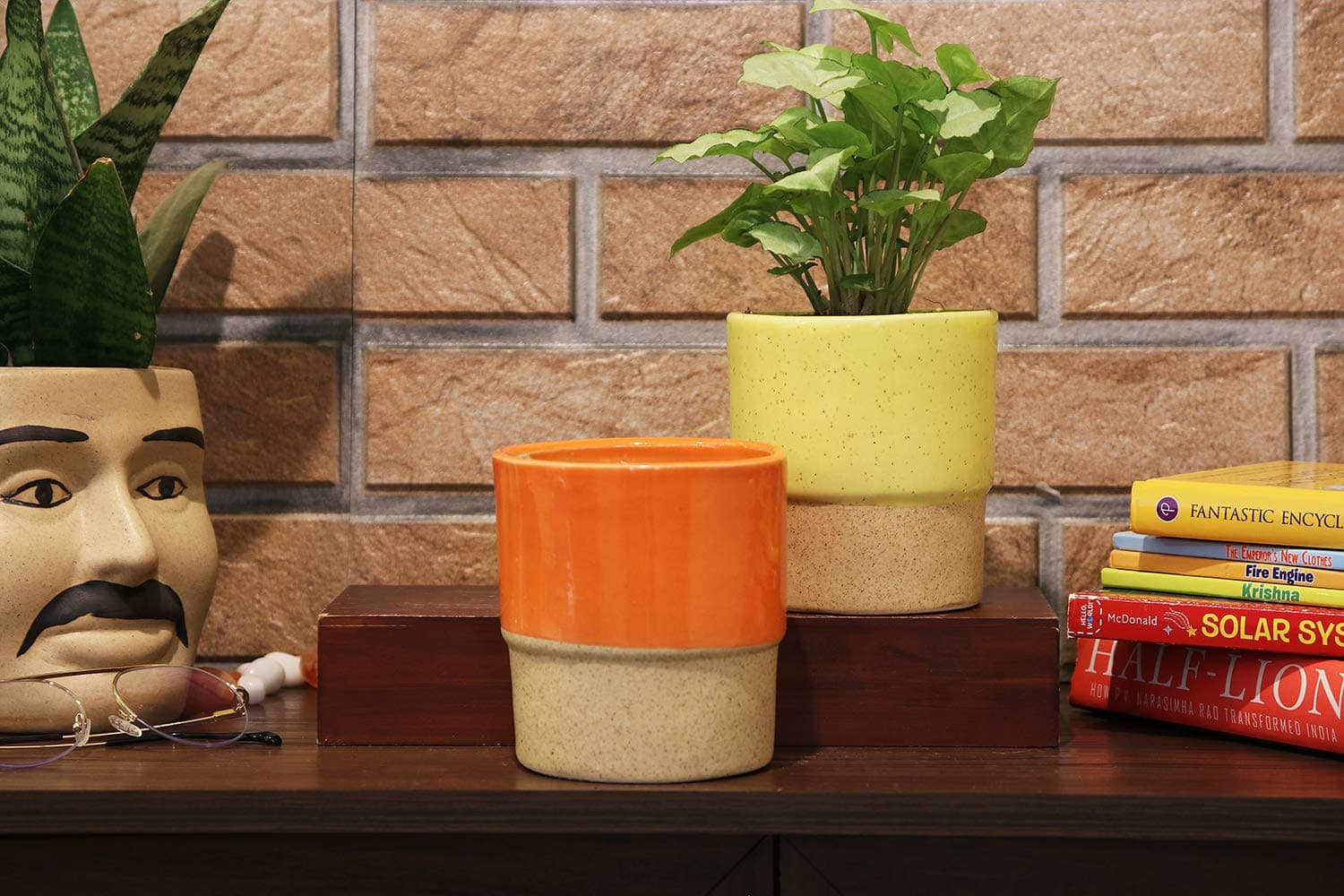 Leafy Tales Ceramic Double Color Cylinder Shape Planter, Multicolor Small Size 2 Piece, Medium