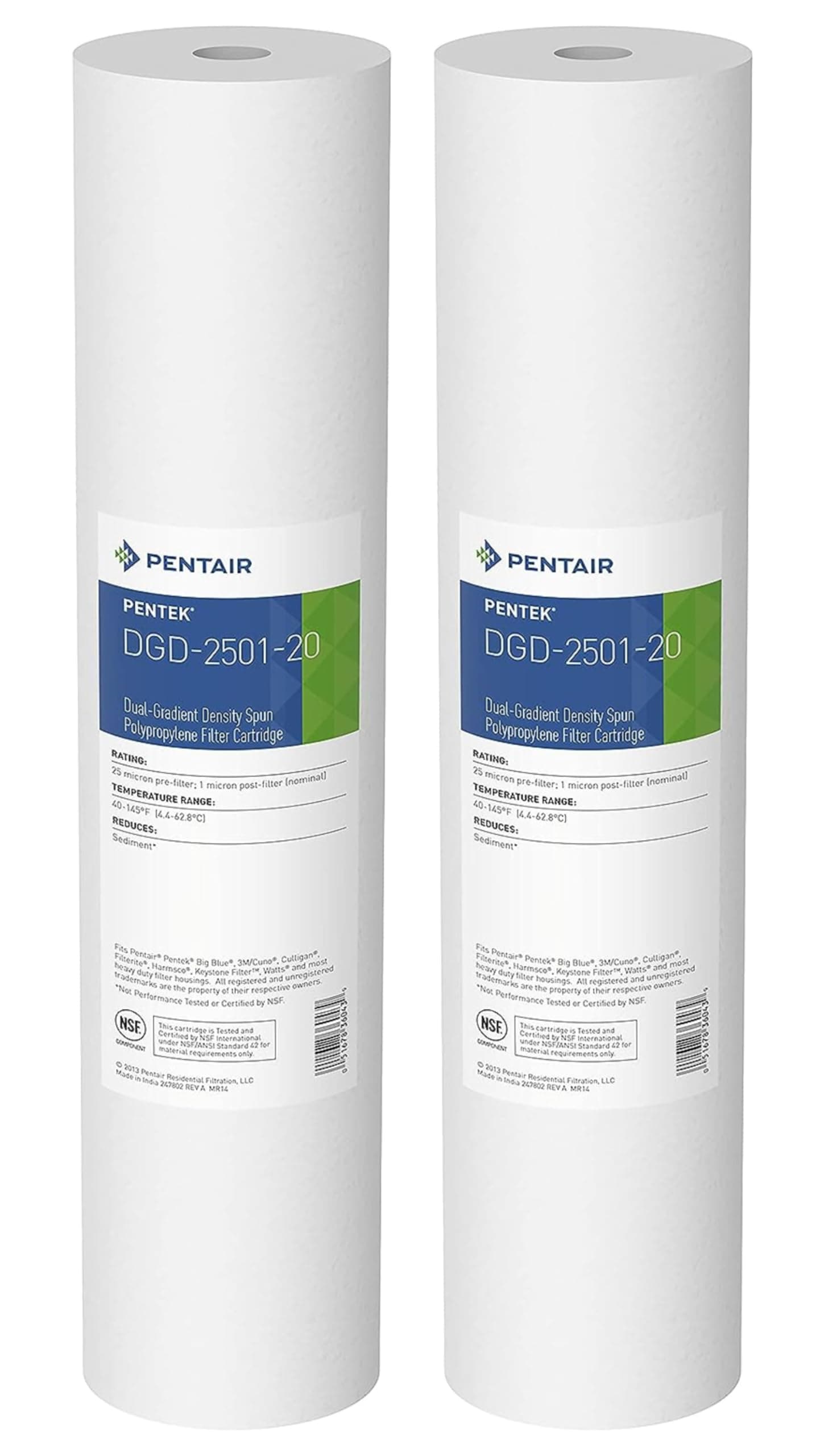 Pentair DGD-2501-20 Big Blue Water Filter, Polypropylene (PP), White