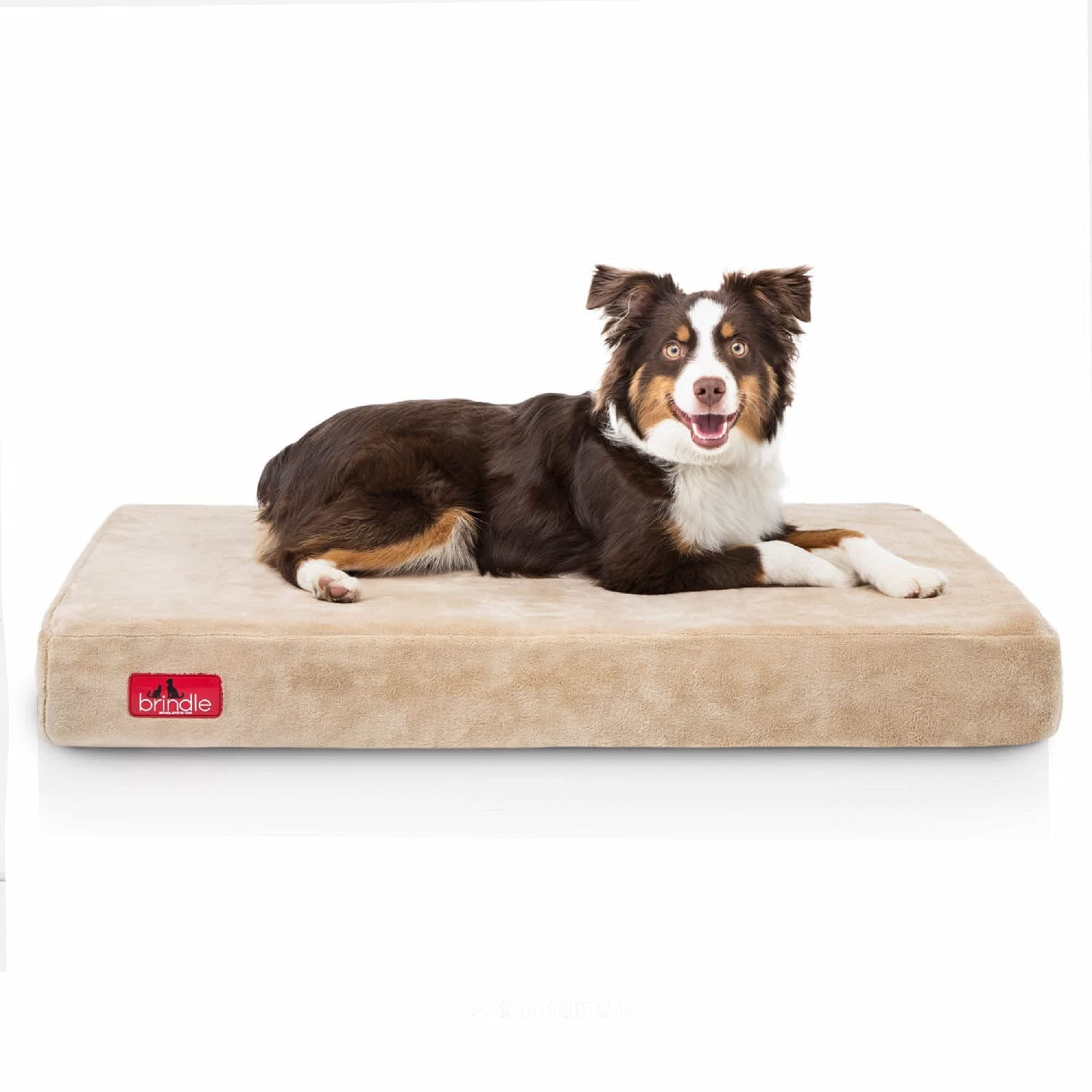 Brindle Waterproof Designer Memory Foam Pet Bed-Removable Machine Washable Cover-4 Inch Orthopedic Pet Bed-Joint Relief
