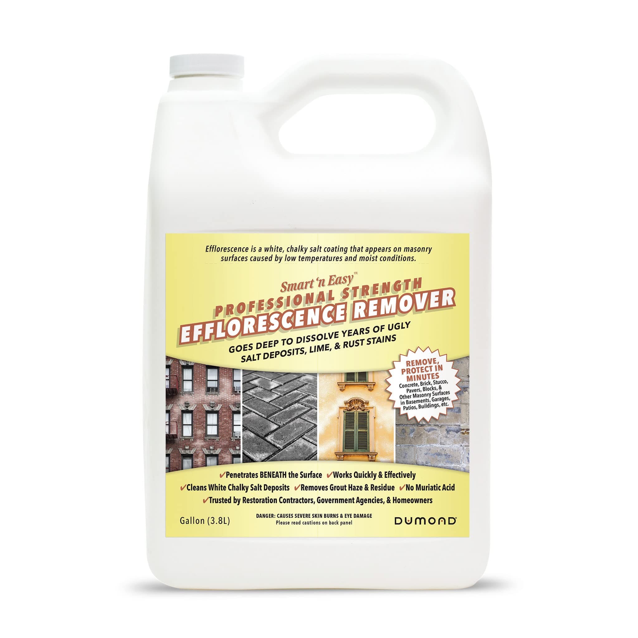 Smart 'n Easy Efflorescence Remover - Heavy Duty Professional Strength Formula - Removes The Toughest Salt, Calcium, and Magnesium Deposits from Concrete, Brick, Stucco, Pavers, & More - 1 Gallon