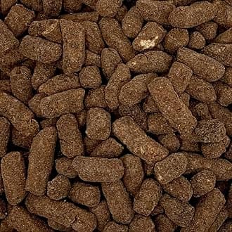 S'Mores Chocolate Nibbles 500g Share Bag by The Gourmet Sweet Company