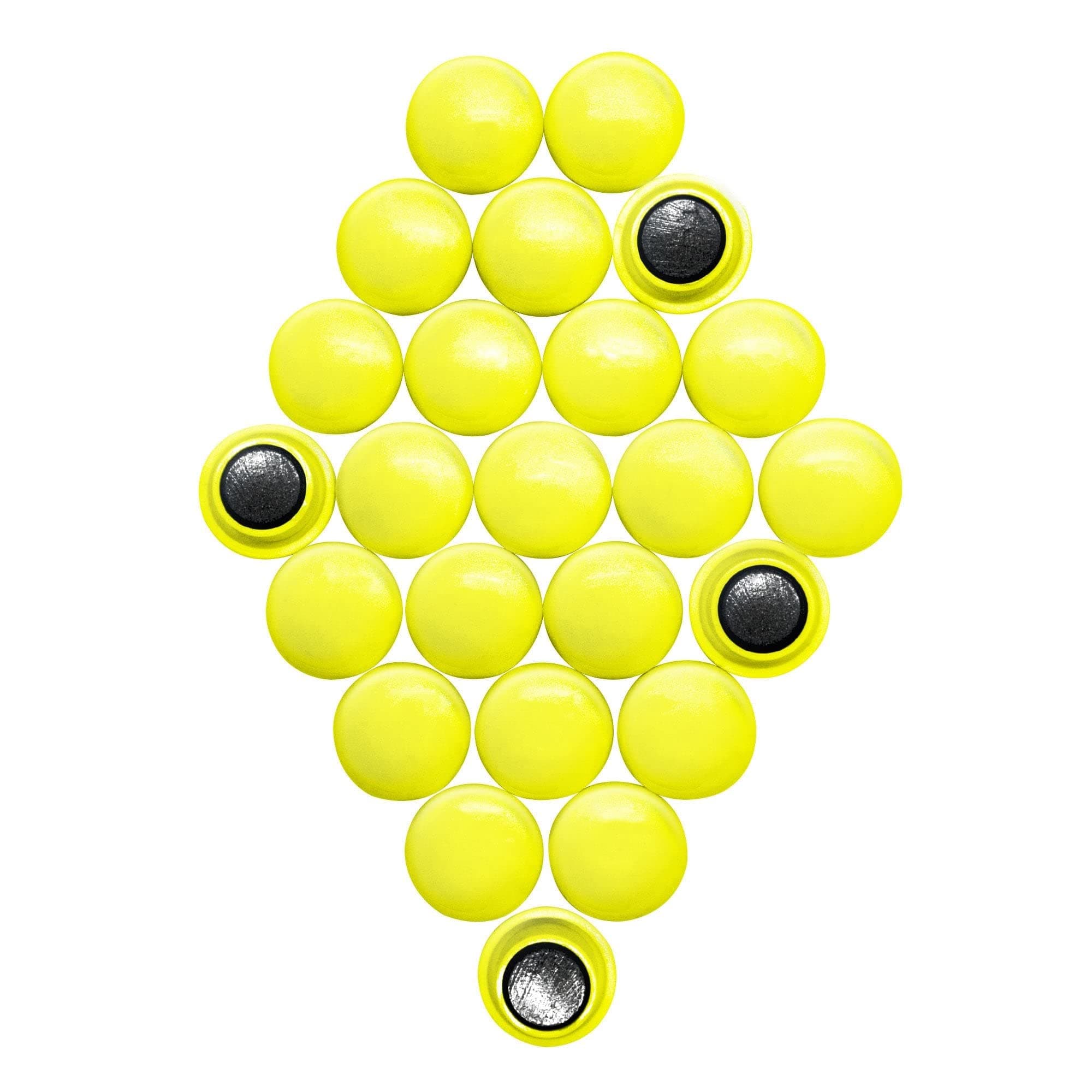 Small Planning & Notice Board Magnets - Assorted (1 Pack of 24) (Pack of 1)