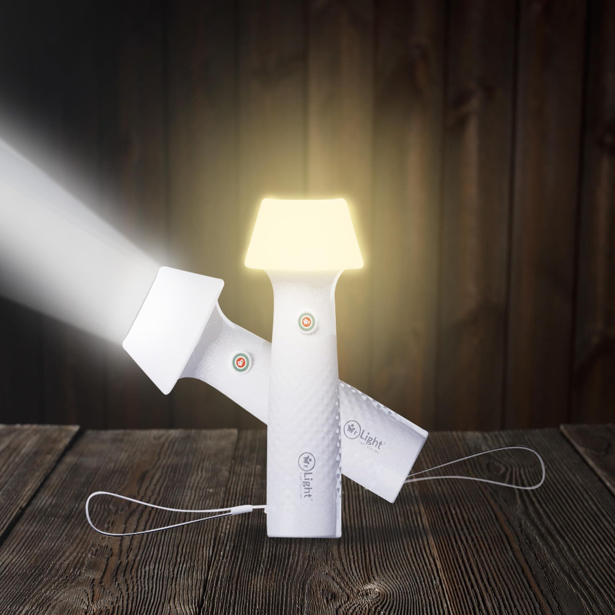 Mr.Light 2-in-1 Rechargeable Torch / Emergency Lantern, Li-ion Battery, Type-C, Brightness Adjustment, Warm & Cool Lights, Charge Indicator, for Gifting, Camping, Indoor & Outdoor Usage MRGD007