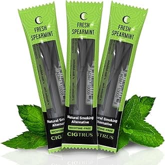 Cigtrus 3-Pack Premium Spearmint Flavored Smoking Cessation Aid - Nicotine-Free Herbal Support for Quitting, Natural Ingredients